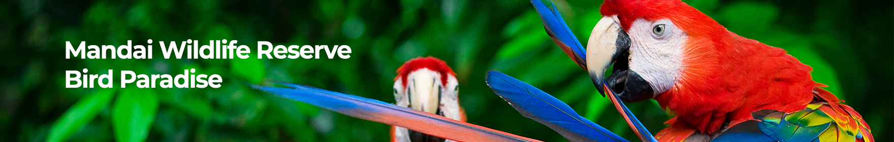 Singapore Travel Pass Mandai Bird Paradise