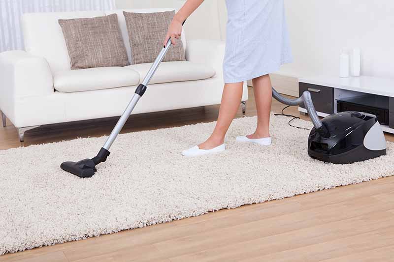 Maid Cleaning Carpet With Vacuum Cleaner