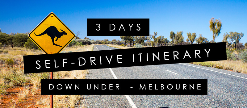 20190208-Self-Drive-Australia