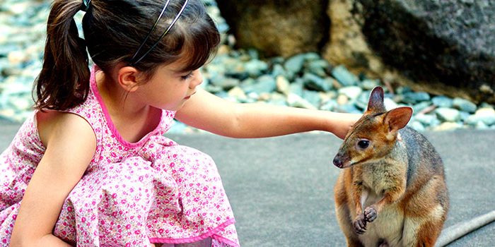 Perth - Travel with Child