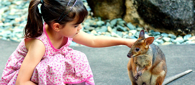 Perth – Travel with Child Perth - Travel with Child