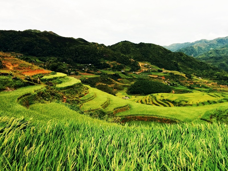 Sapa Valley, Vietnam