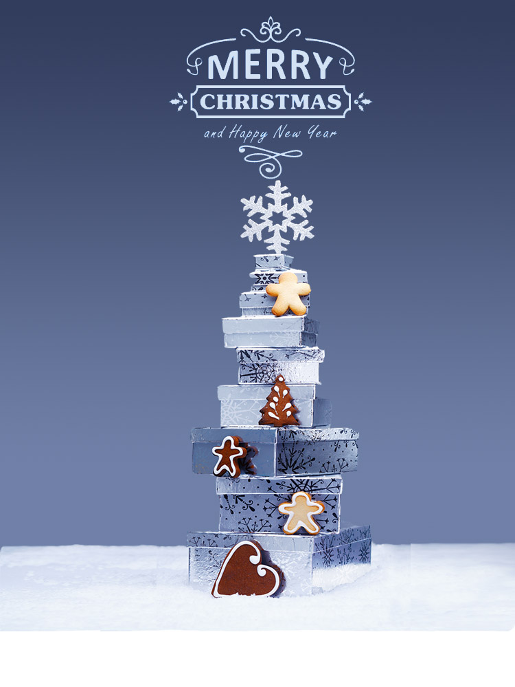 HL Assurance wishes you have a Merry Christmas!