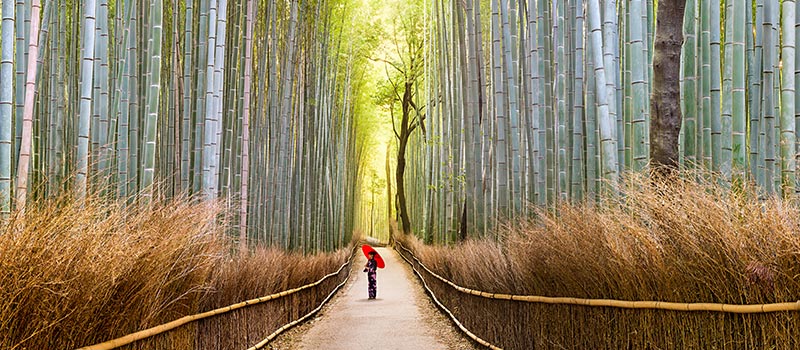 Arashiyama