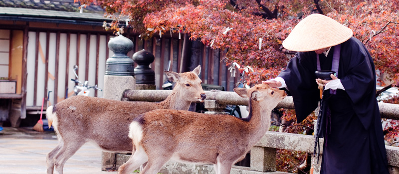 Nara