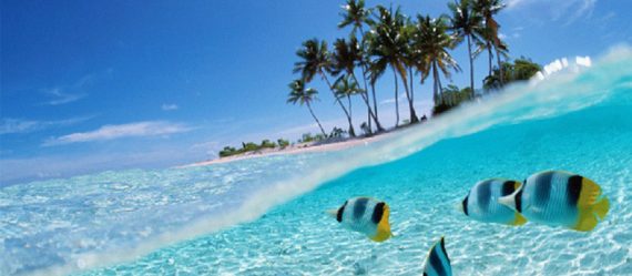 Redang-Island–Malaysia Island Malaysia