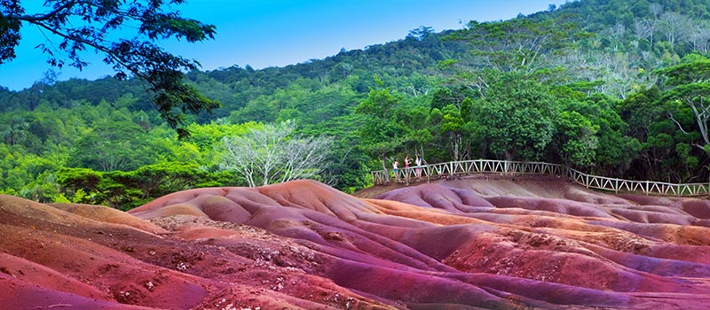 Ebony Forest Reserve