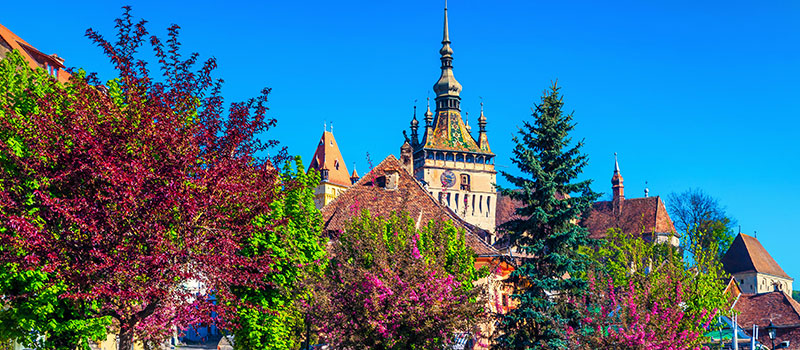 Sighisoara Citadel