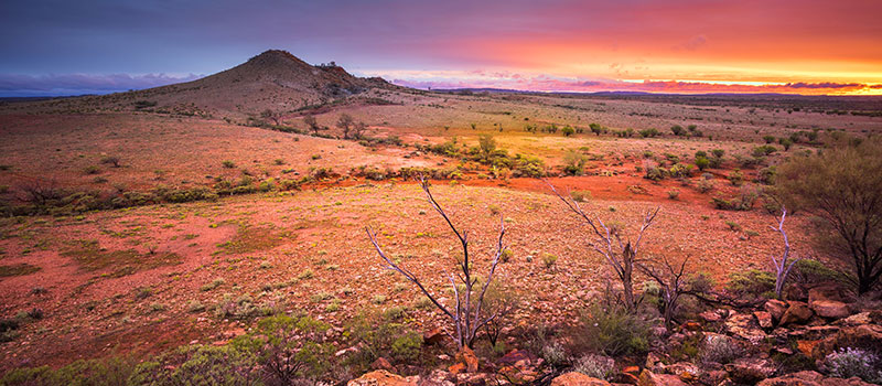 Alice Springs