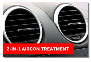 2-in-1 Aircon Treatment