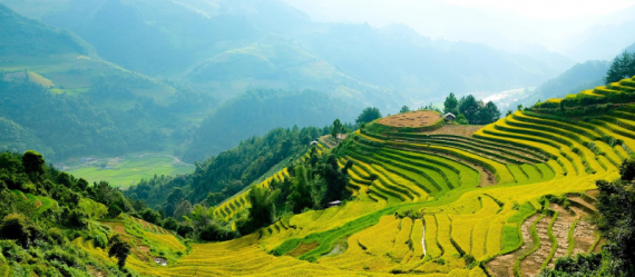 HLAS travel insurance Vietnam