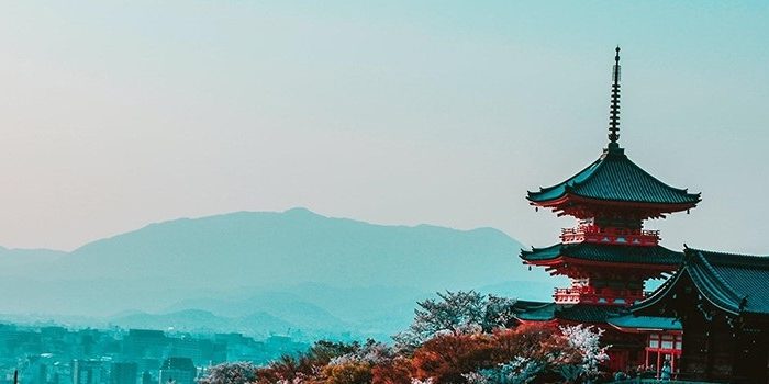 HLAS travel insurance japan 01