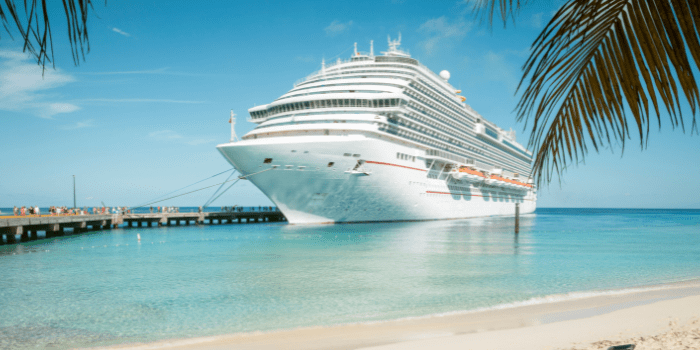 Cruise ship docked at pier