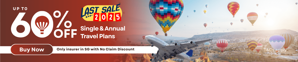 HLAS Travel Insurance product page